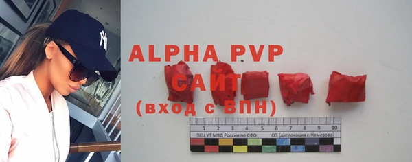 СК Арсеньев
